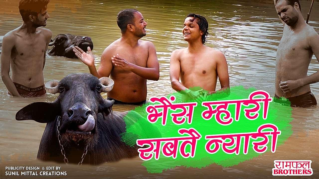 भैंस म्हारी सबतै न्यारी 