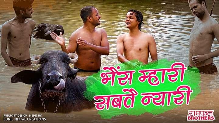 भैंस म्हारी सबतै न्यारी 