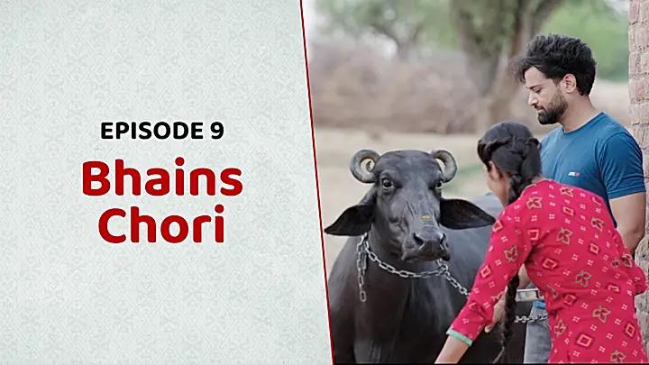 Bhains Chori