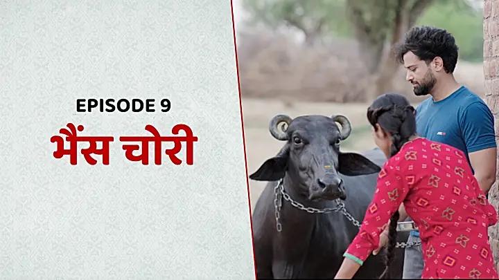 भैंस चोरी