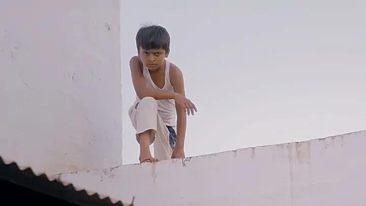 पिल्ला