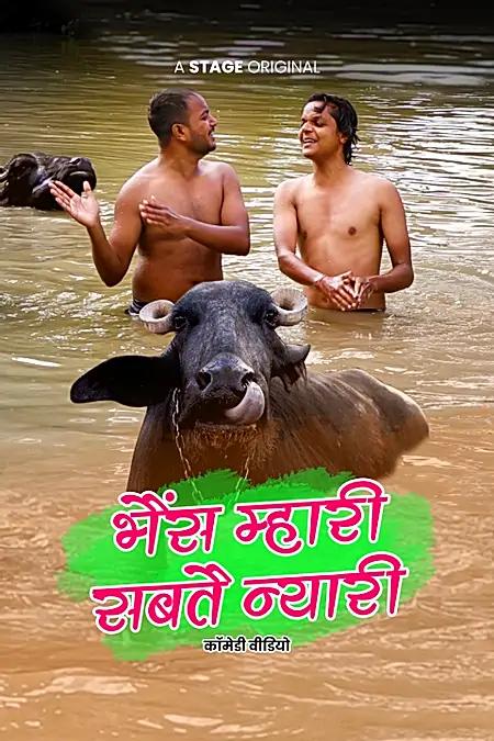 भैंस म्हारी सबतै न्यारी 